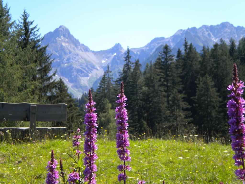 Hotel Garni Brigitte Bürserberg Rom bilde