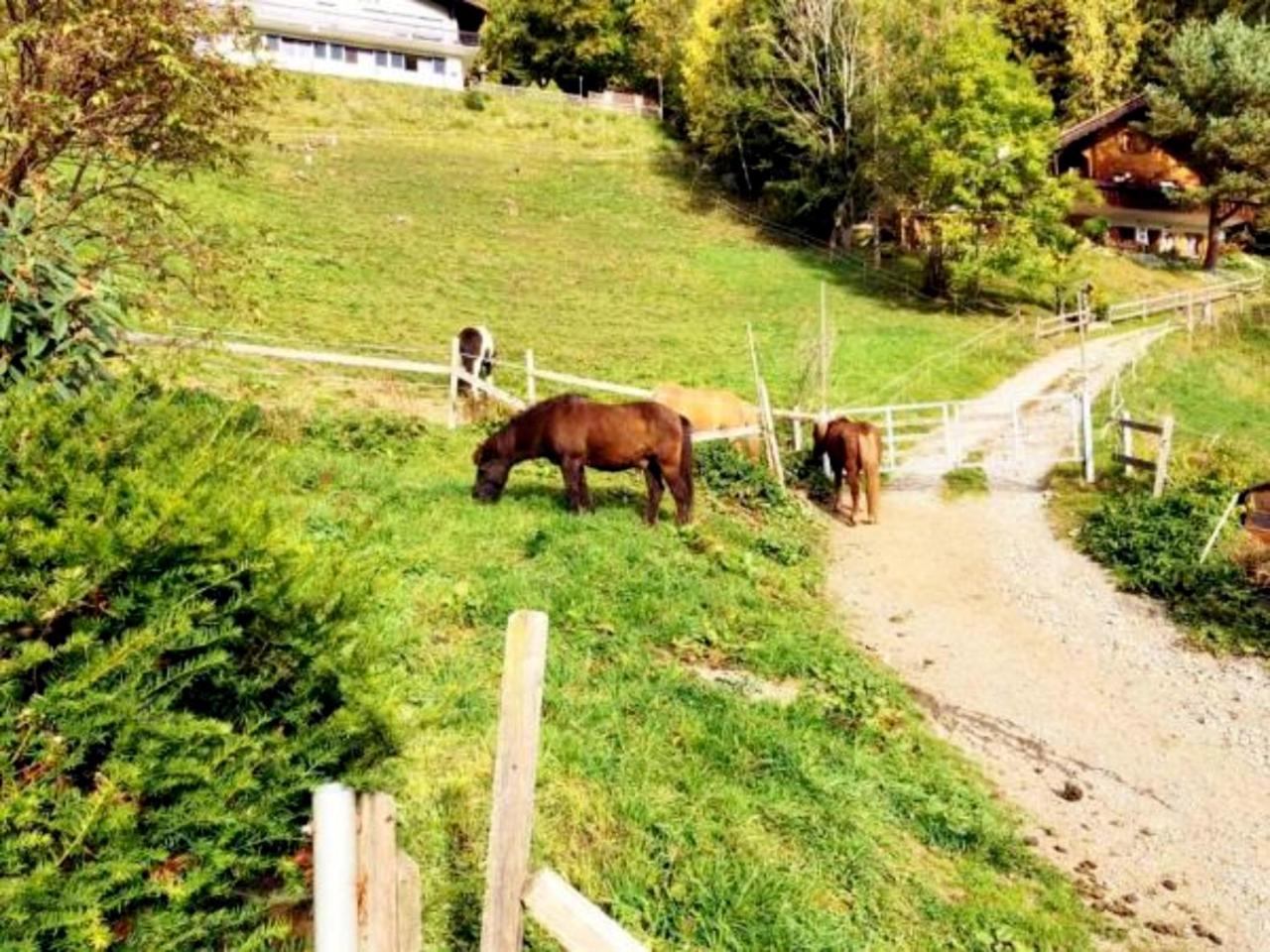 Hotel Garni Brigitte Bürserberg Eksteriør bilde